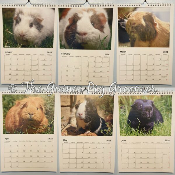 Tiny Paws Calendar 2024 - Image 2