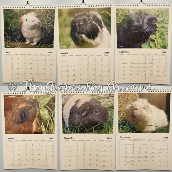 Tiny Paws Calendar 2024 - Image 3